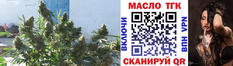 ссылка на мегу рабочий сайт  Костерёво  ТГК вейп 