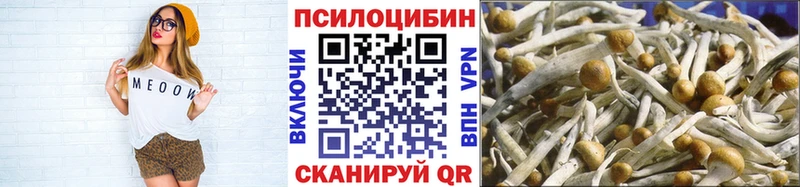 хочу наркоту  Костерёво  Псилоцибиновые грибы мицелий 